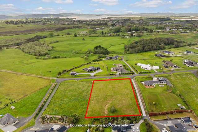 113 Vineyard Road Te Kauwhata_4