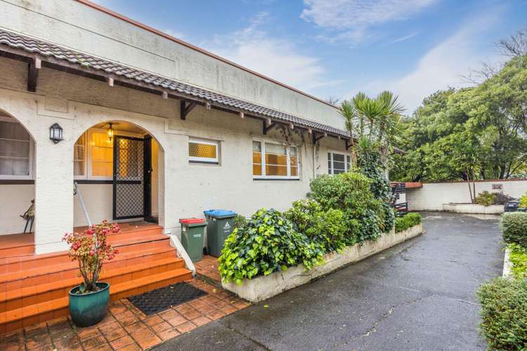 294 Manukau Road Epsom_12