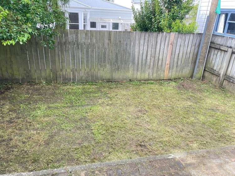 145 Aro Street Aro Valley_15