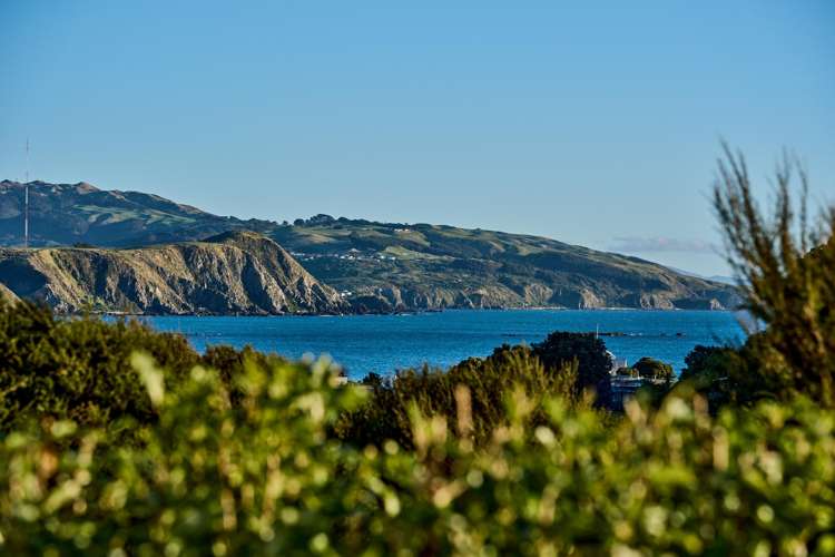 48 Cluny Road Plimmerton_21