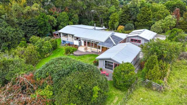 15 Mangotahi Road Thames_2