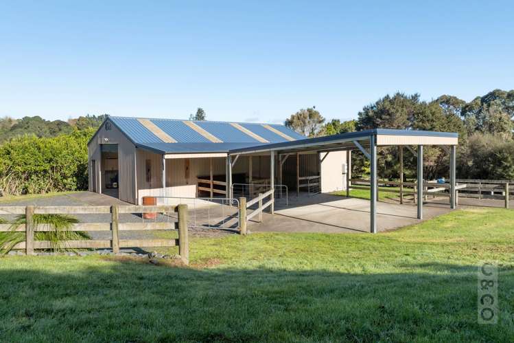 208B Glenmore Road Coatesville_11