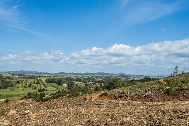Puhipuhi Road Whakapara_4
