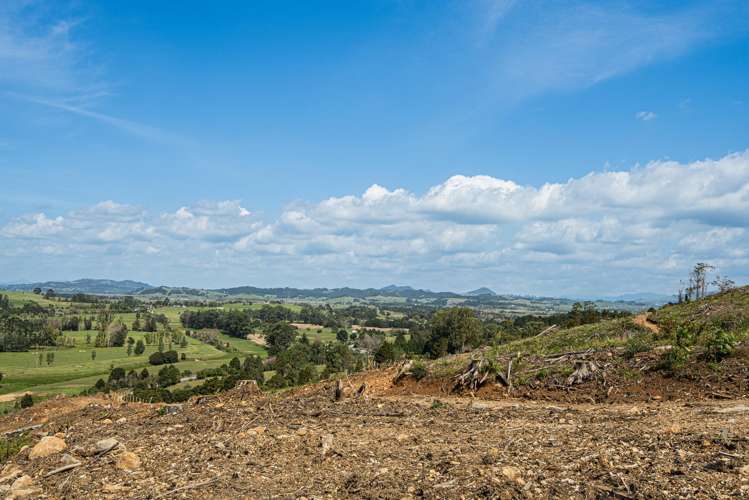 Puhipuhi Road Whakapara_4