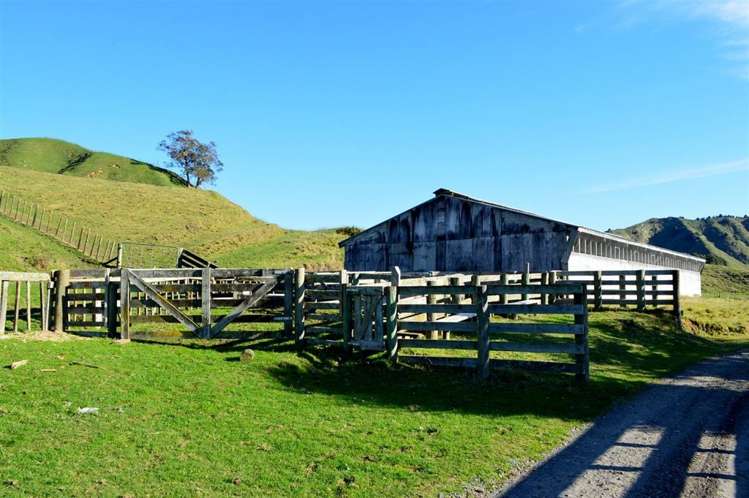716 Ongarue Back Road Taumarunui_47