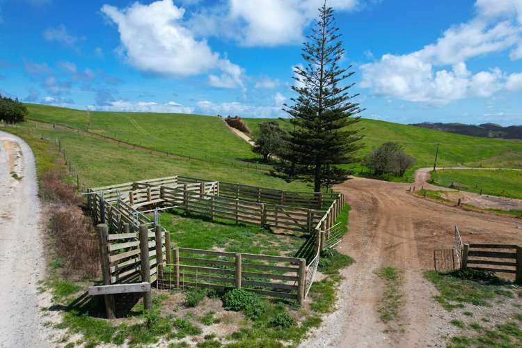 796 Mahuta Road Dargaville Surrounds_10