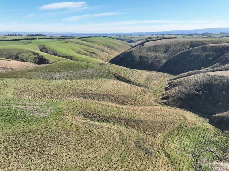 174 McCulloch Road Awamangu_6