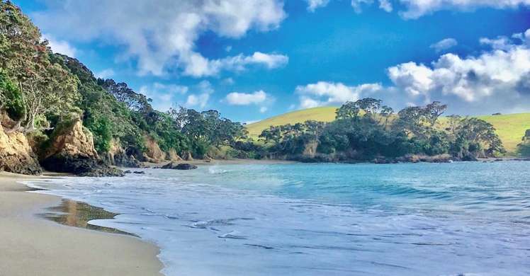 24 Mcgregor Street Taiharuru_23