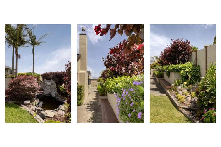 81 Hamurana Road Omokoroa_34