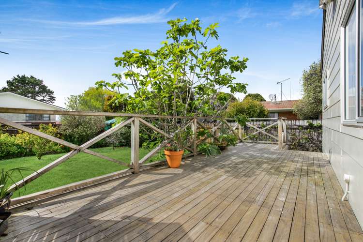 164 Wellington Street Pukekohe_1