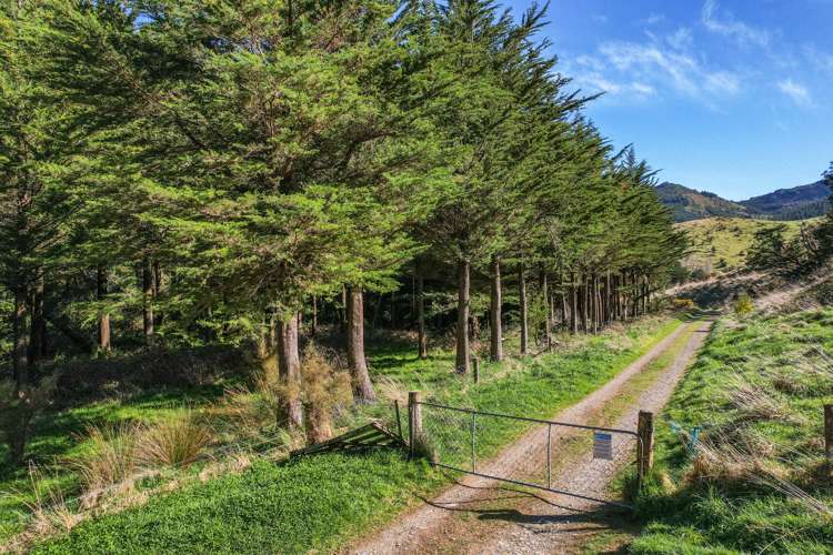 245 Sladdens Bush Road_4