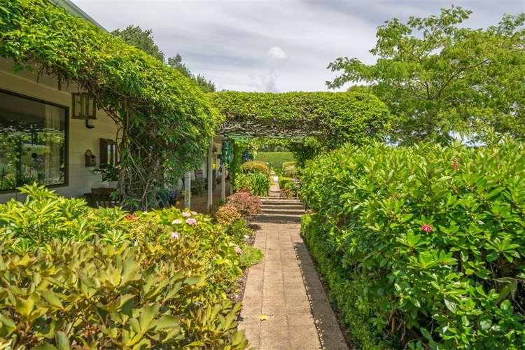 216 Neal Road Spring Creek_23