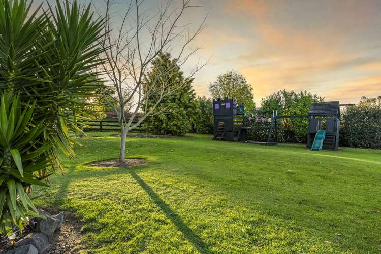 233 Ross Road Whakamarama_20