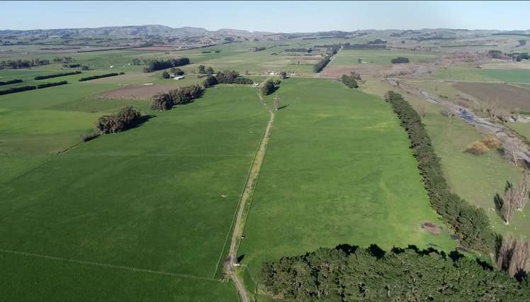 616 Lake Ferry Road Dyerville_16