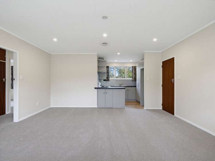 48A Domain Road Whakatane_20