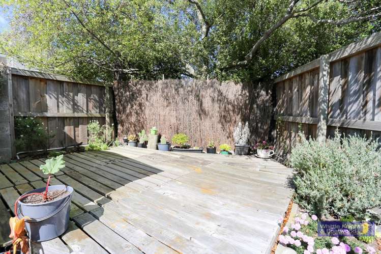 3 Pope Street Addington_13