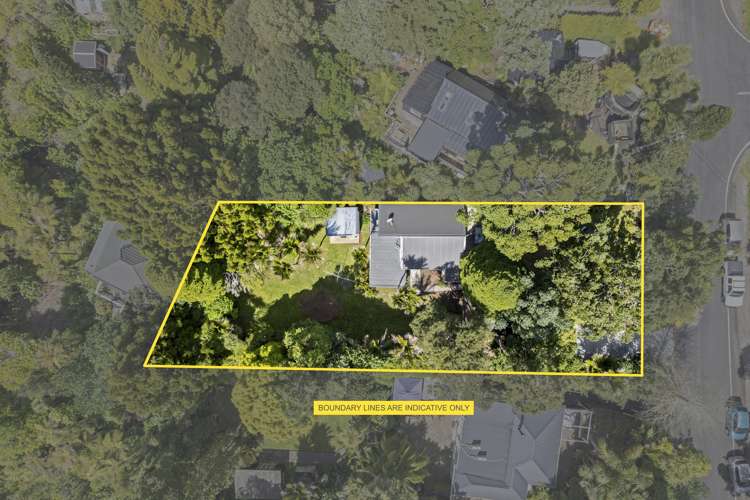 22 Hollywood Avenue Titirangi_19