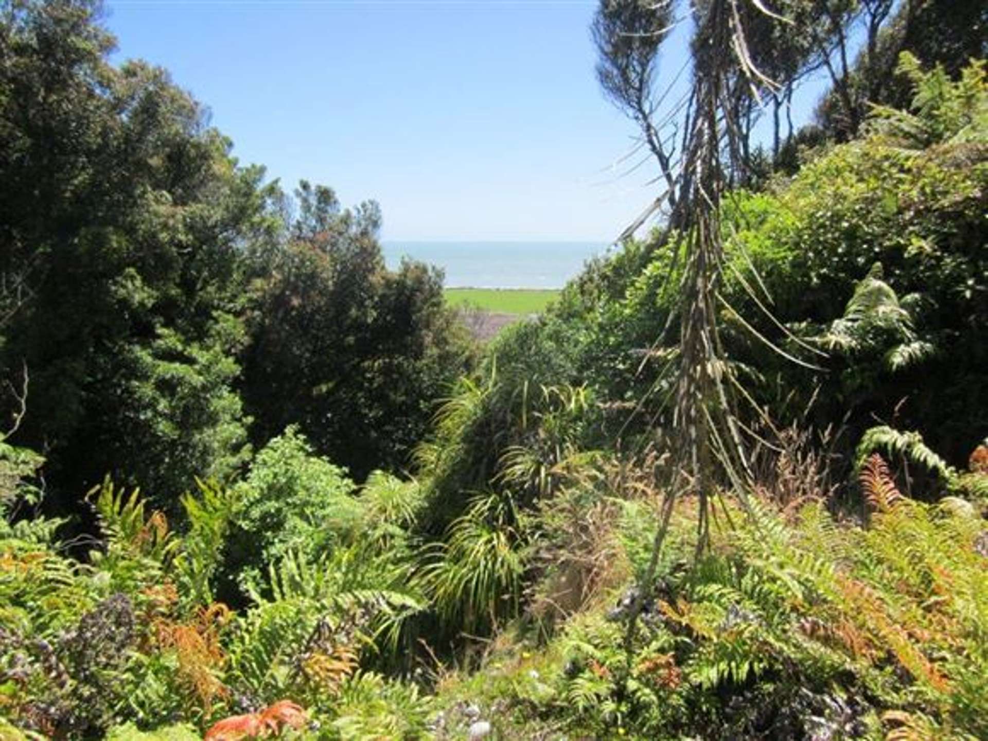 146 Havill Drive Hokitika_0