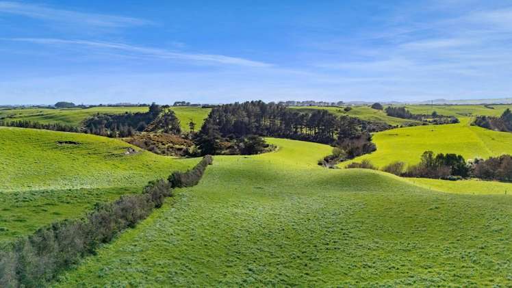 2A Ropata Street Hawera_8