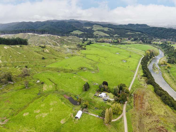 232 Kotare Road Ruakituri_5