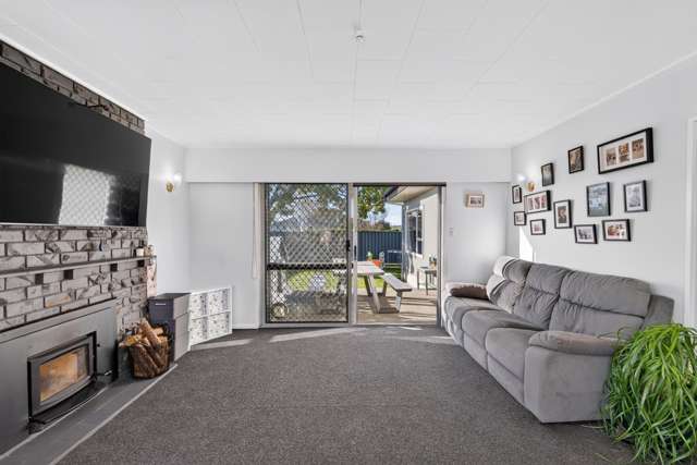 1 Arney Street Tamatea_1