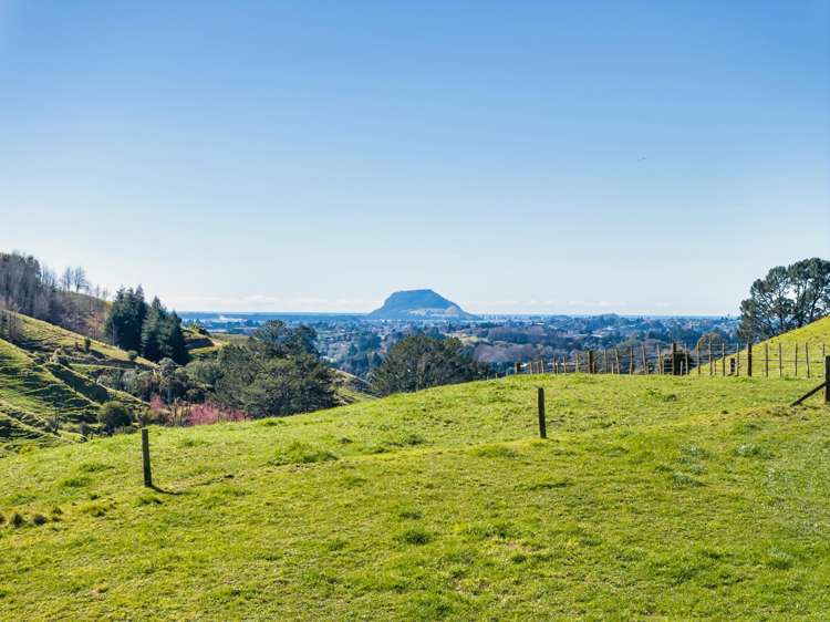 164C Crawford Road_0