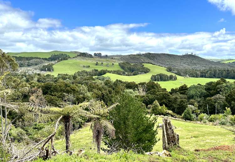 42 Ngapuhi Road Kerikeri Surrounds_7
