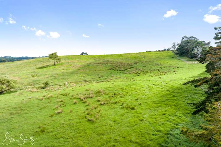 Pahi Road Paparoa_17