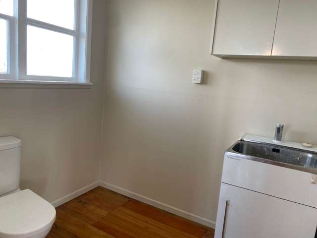 6a Eglinton Avenue Mount Eden_2