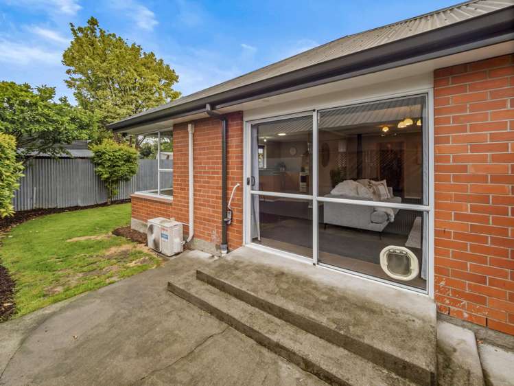 60a Elizabeth Street Allenton_20