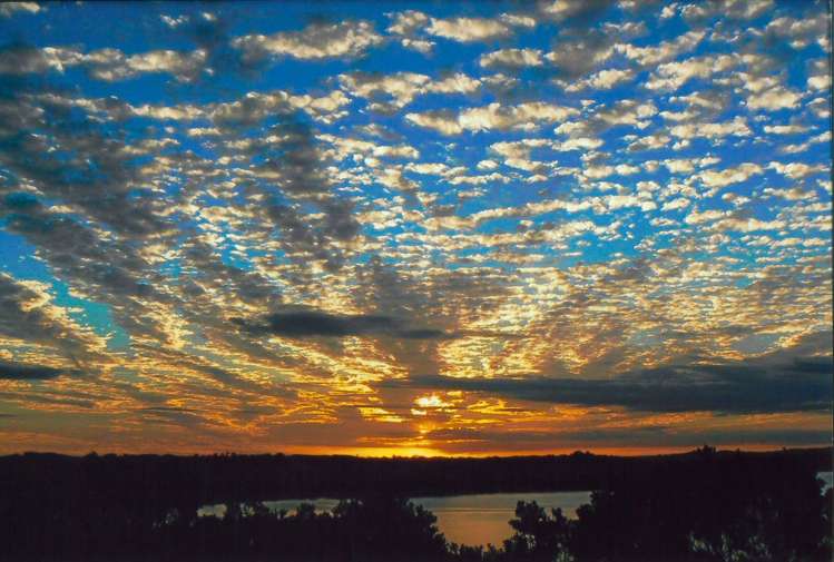 23 Roberts Road Matakatia_25