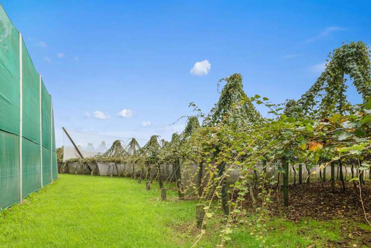 2206 State Highway 10 Kerikeri_8