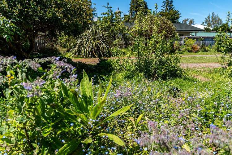 15A Kent Street Carterton_8