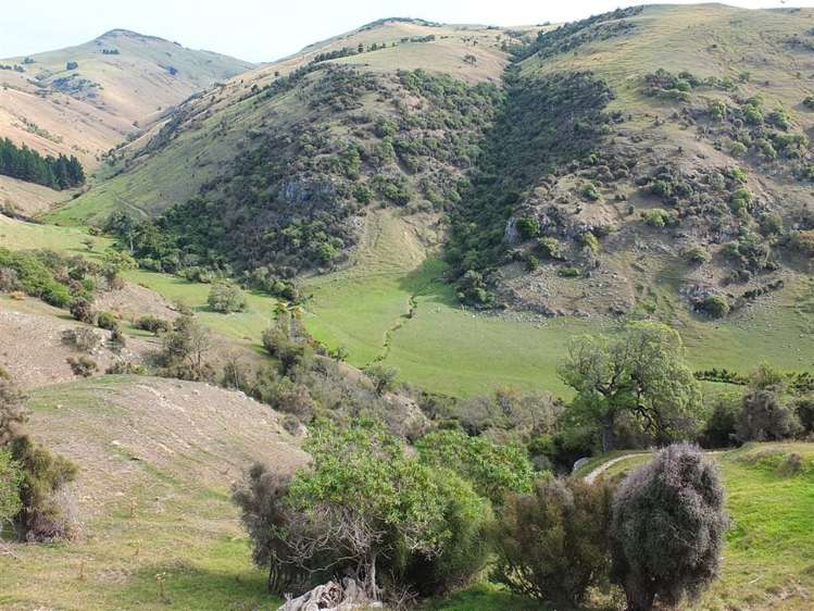 831 Chorlton Road Little Akaloa_22