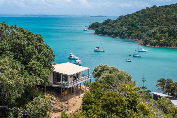 6 Pohutukawa Avenue_3