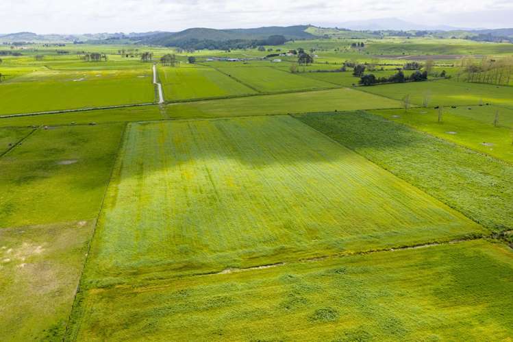 5448 State Highway 14 Dargaville_26