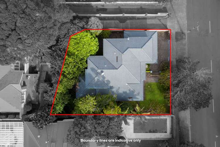 6a Horoeka Avenue Mount Eden_9