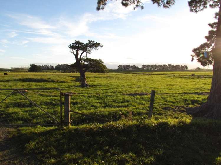 2246 Kahutara Road Kahutara_14