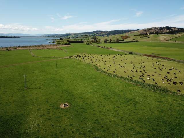 961 Waihola Highway Milton_3