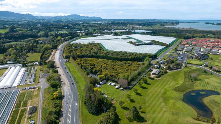 22a Sharp Road Aongatete_19