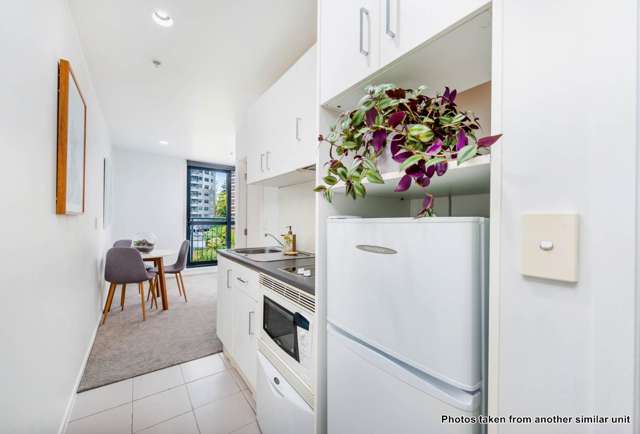 204/36 Eden Crescent Auckland Central_1