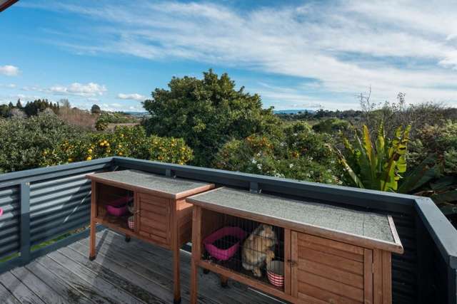 381b Ngatai Road Bellevue_3