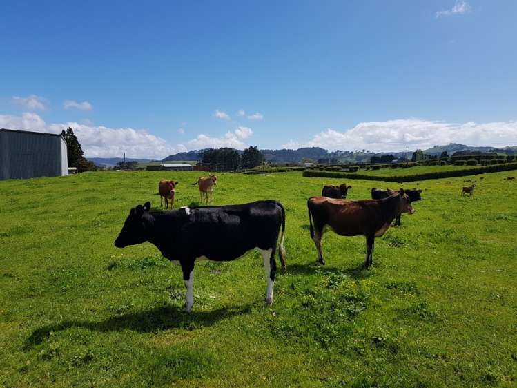 126 Trig Road Waihi_14