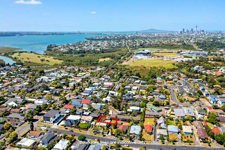 107a Kiwi Road Point Chevalier_13