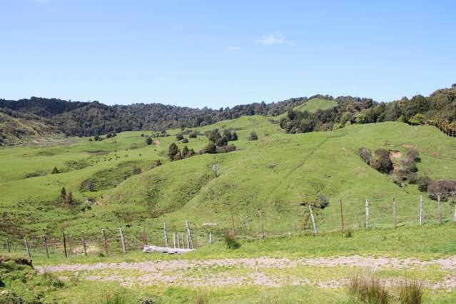 Waitaanga Drystock