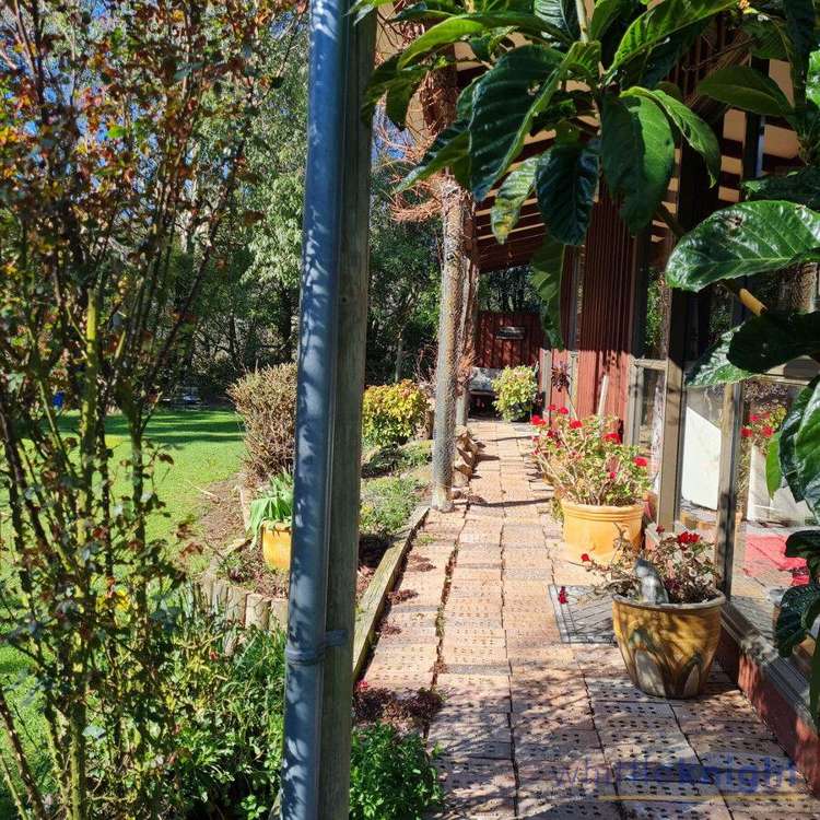 14-16 Farr Street Glentunnel_18