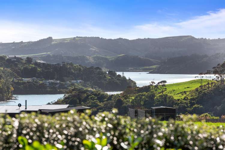 37 Bridle Creek Road Raglan_10