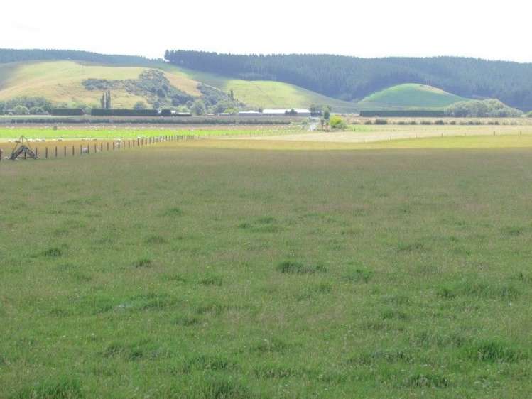 734 Crichton Road Milton_6