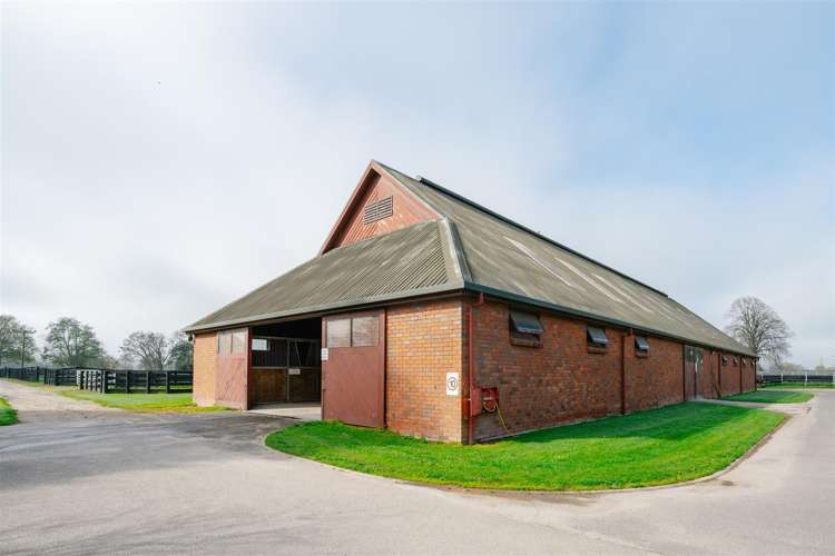 122 Rotoorangi Road Cambridge_15