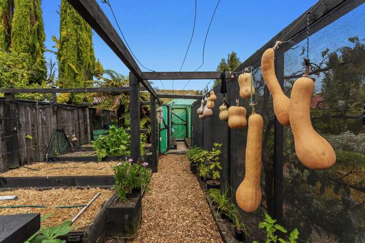 24 Hinemotu Avenue Kawerau_14